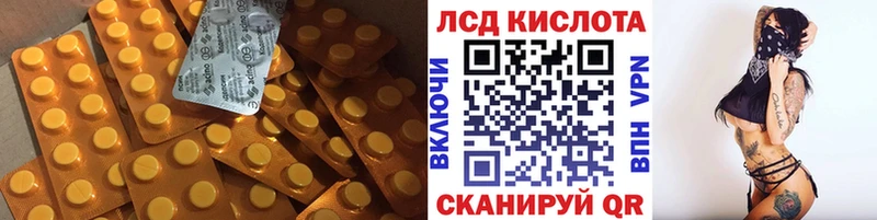 KRAKEN ССЫЛКА  Камбарка  Лсд 25 экстази ecstasy  закладка 
