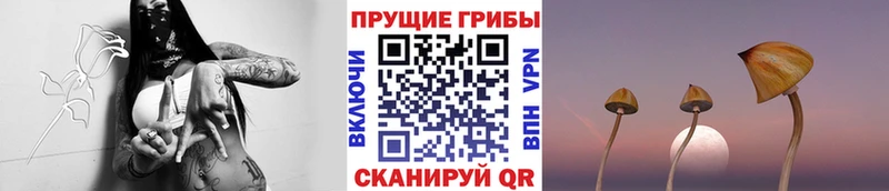 купить наркоту  Камбарка  ссылка на мегу   Псилоцибиновые грибы Psilocybine cubensis 