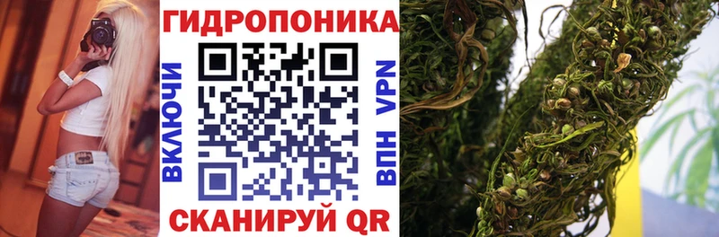 Каннабис Amnesia  hydra зеркало  Камбарка 